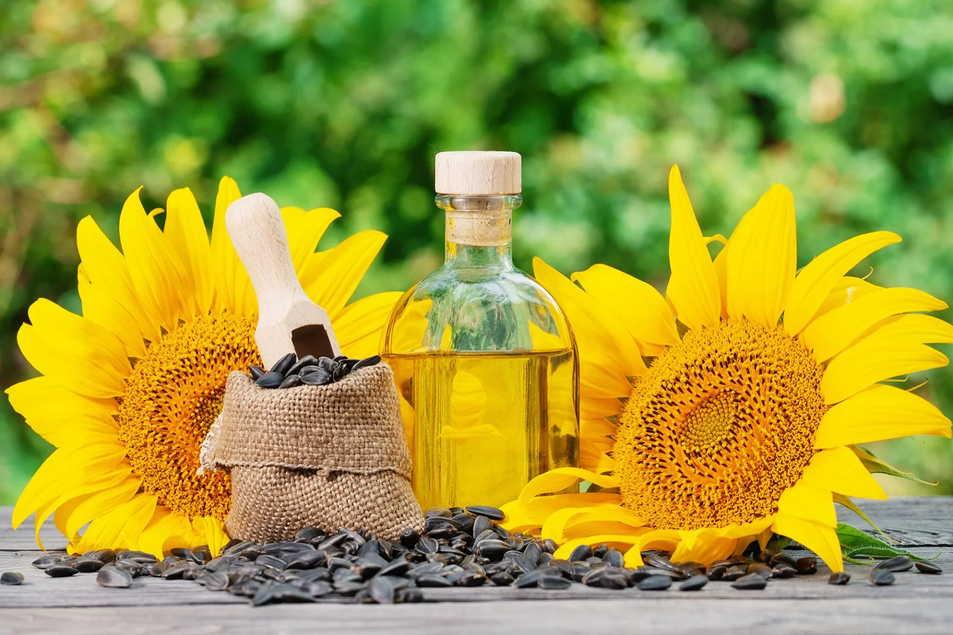 Sunflower Oil