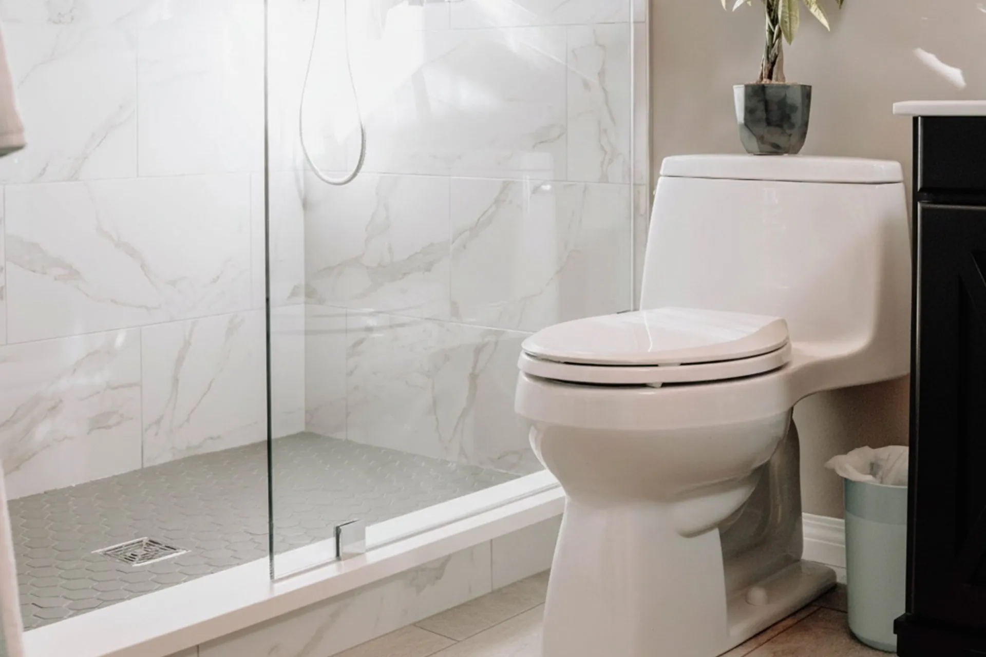 Toilets & Wash Basins